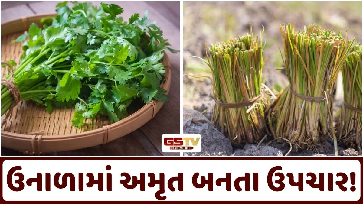 Shatdal: ઉનાળામાં અમૃત બનતા ઉપચાર, જાણો કેટલા છે લાભદાયી!