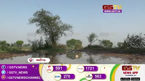 VIDEO: અલીગઢમાં કુદરતનો કહેર: કરા સાથેના વરસાદે ખેડૂતોની આખી સીઝનની મહેનત પર ફેરવ્યું પાણી
