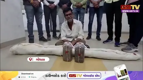 VIDEO: Panchmahal / ગોધરાના ઇસરોડીયા ગામે ખેતરમાં ગાંજાની ખેતીનો પર્દાફાશ;  2.64 લાખના લીલા ગાંજા સાથે 1ની ધરપકડ કરી