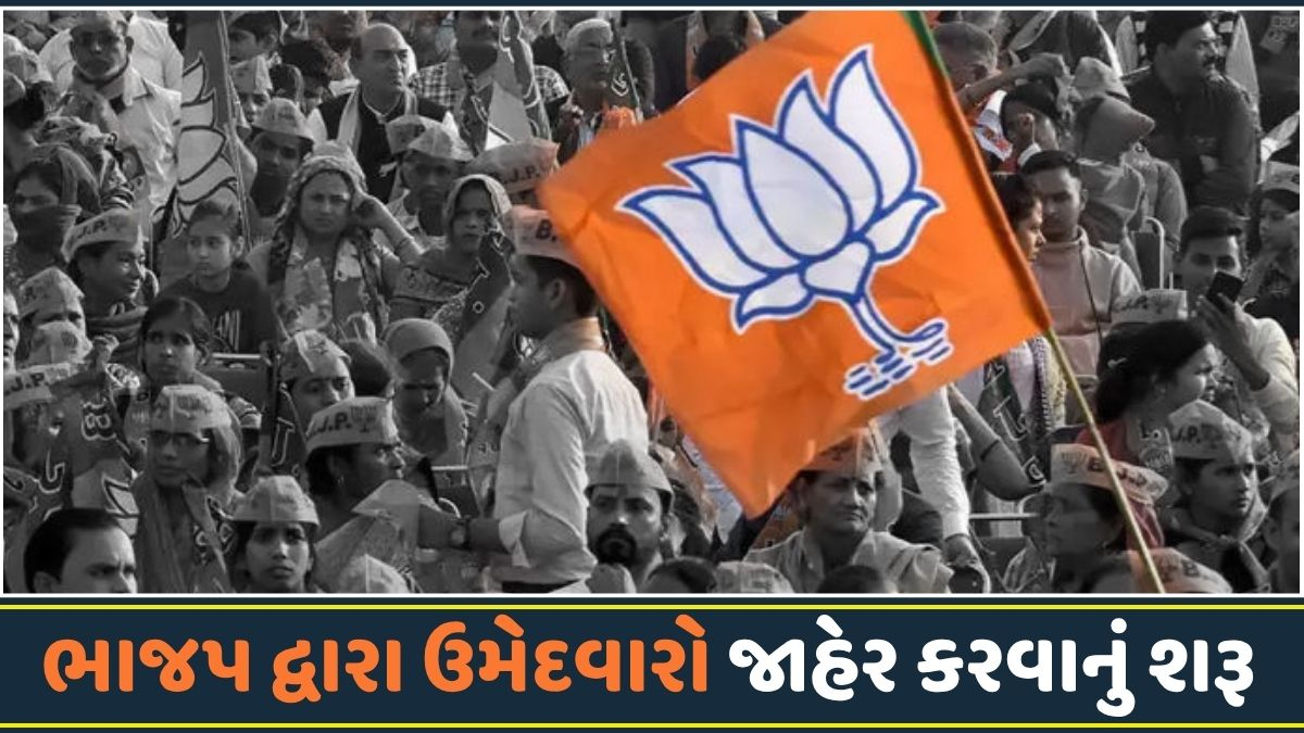 BIG NEWS / સ્થાનિક સ્વરાજ્યની ચૂંટણી: ભાજપે તબક્કાવાર ઉમેદવારો જાહેર કરવાનું શરૂ કર્યું