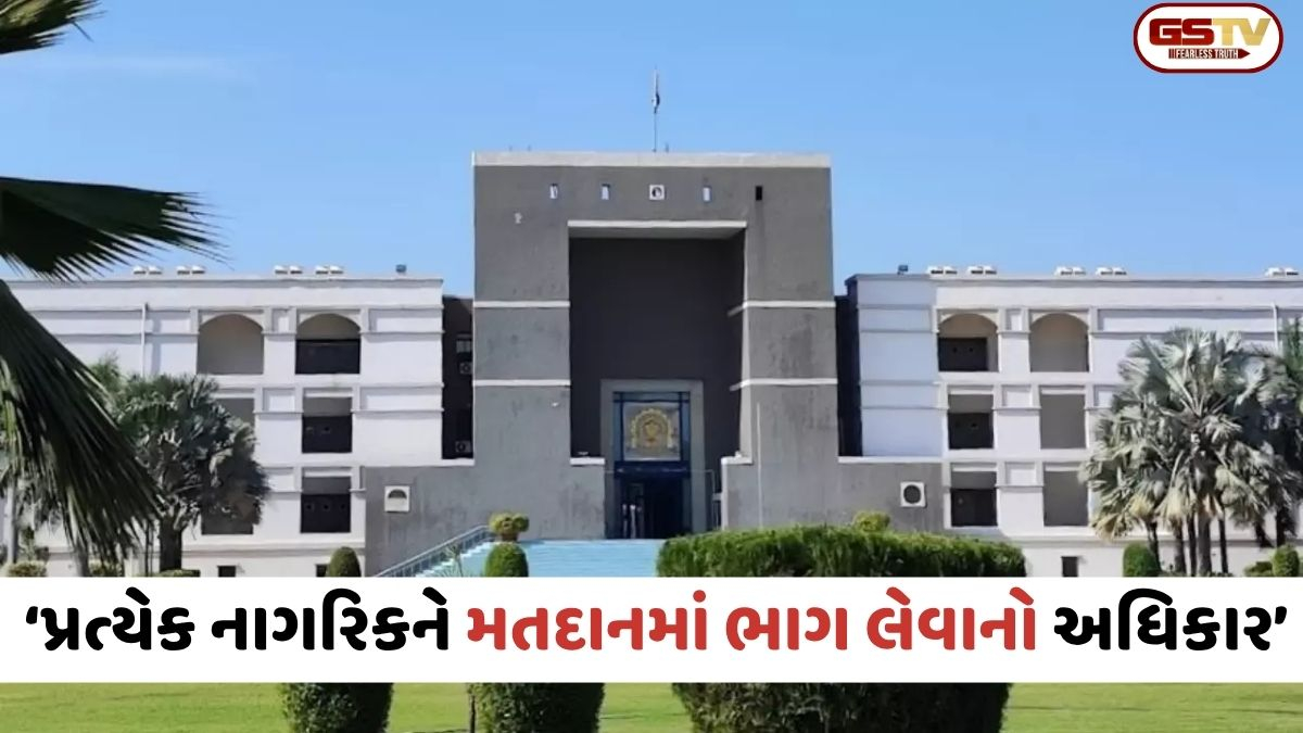 મતદાનમાં ભાગ લેવો એ પ્રત્યેક નાગરિકનો અધિકાર; SIR મામલે ગુજરાત હાઈકોર્ટનો મોટો નિર્ણય