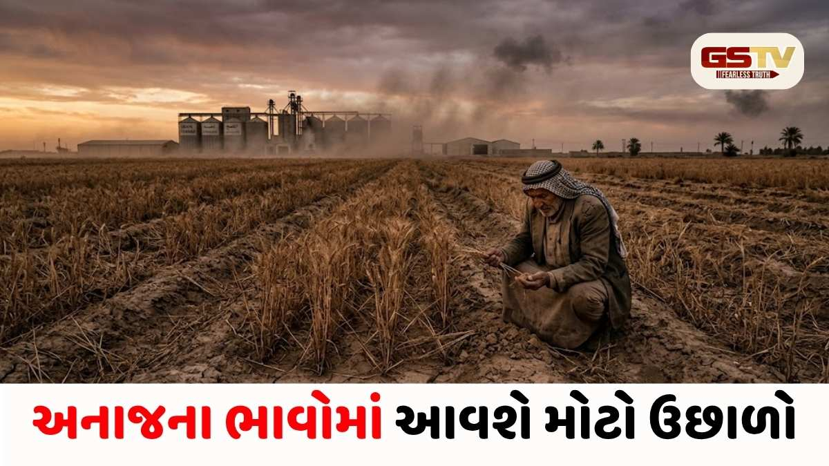ઈરાન યુદ્ધની આડઅસર: દુનિયાભરમાં અનાજ મોંઘું થશે, IMF અને વર્લ્ડ બેન્કની ગંભીર ચેતવણી