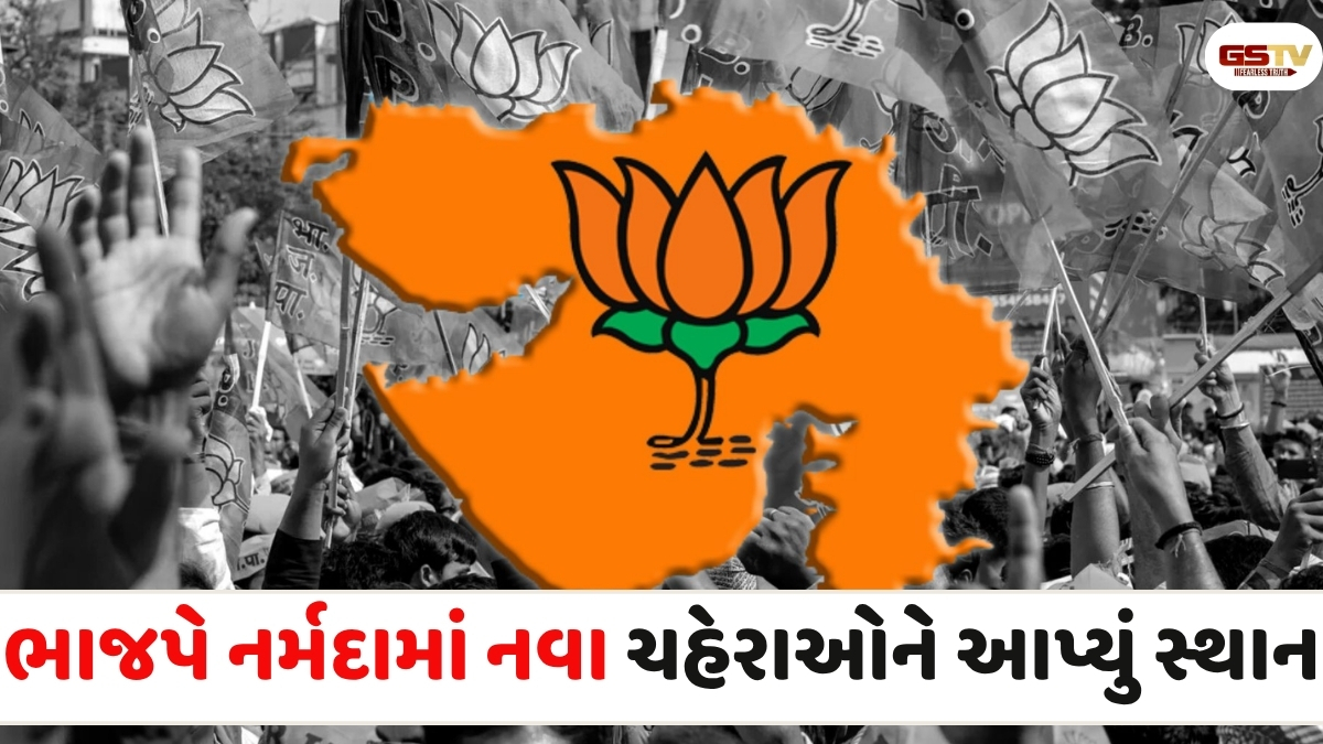 Narmada news: ભાજપમાં 'નો-રિપીટ' થીયરી યથાવત, અનેક દિગ્ગજોના પત્તા કપાયા