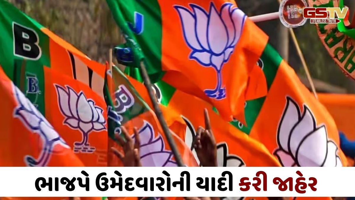 સ્થાનિક સ્વરાજ્યની ચૂંટણી: અમદાવાદ સહિત અનેક જિલ્લામાં ભાજપ ઉમેદવારના નામ જાહેર, જુઓ યાદી