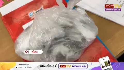 VIDEO: Banaskanthaની ડીસા નગરપાલિકા ચૂંટણીમાં AAPની અનોખી રીતે એન્ટ્રી