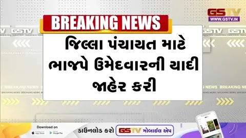 VIDEO: Sabarkantha જિલ્લા પંચાયત માટે ભાજપે ઉમેદવારોની યાદી જાહેર કરી, 34માંથી 19 બેઠકો પર મહિલાઓને ટિકિટ