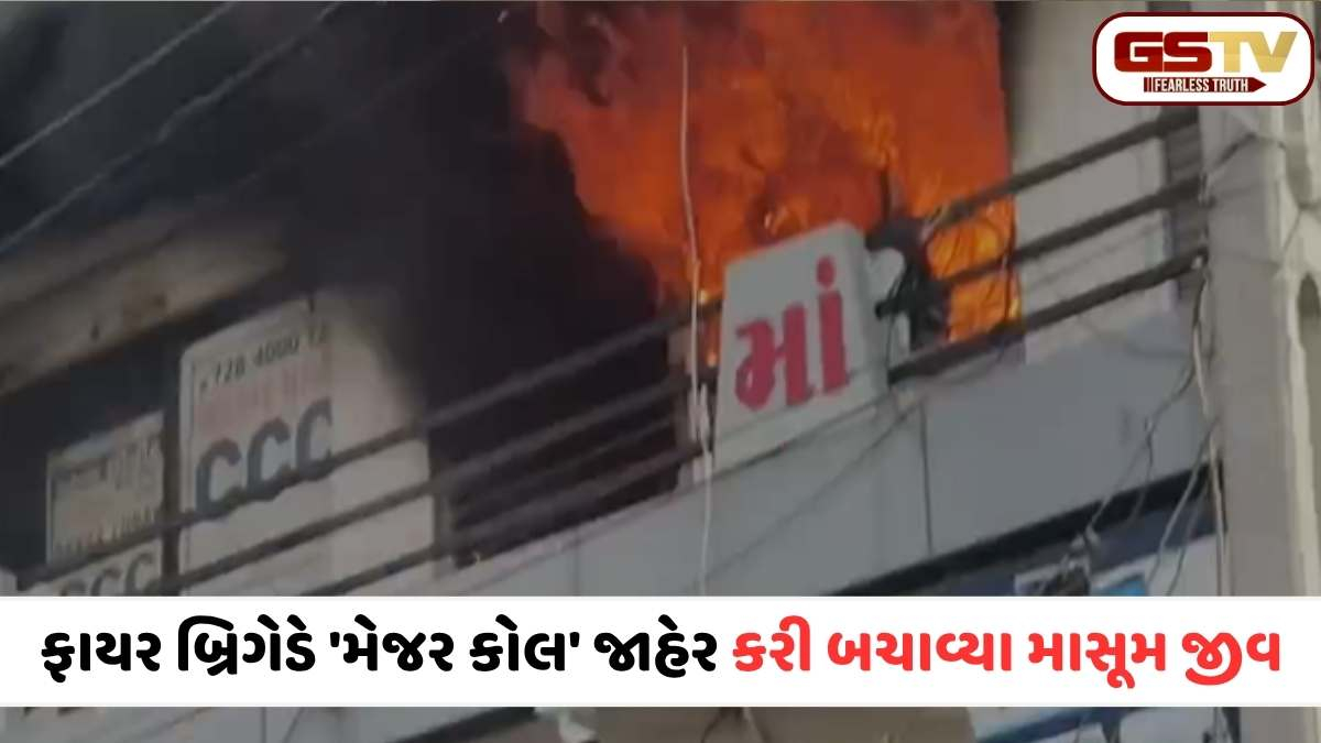 VIDEO: સુરેન્દ્રનગર બસ સ્ટેન્ડ પાસે કોમ્પ્લેક્ષમાં વિકરાળ આગ! 3 દુકાનો રાખ, ફાયર ફાઈટરની ભારે જહેમત બાદ આગ કાબૂમાં