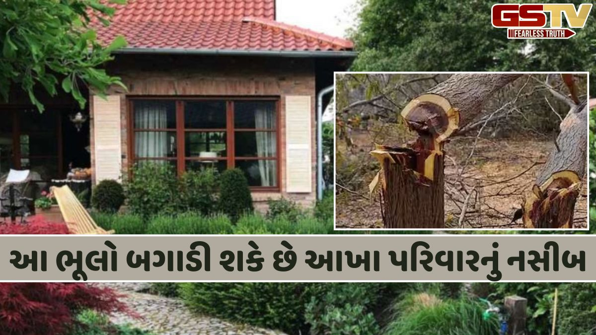 Religion: વૃક્ષો કાપવા માટે હોય છે વાસ્તુના નિયમો, તેને અનુસરી આ ભૂલો કરવાનું ટાળો
