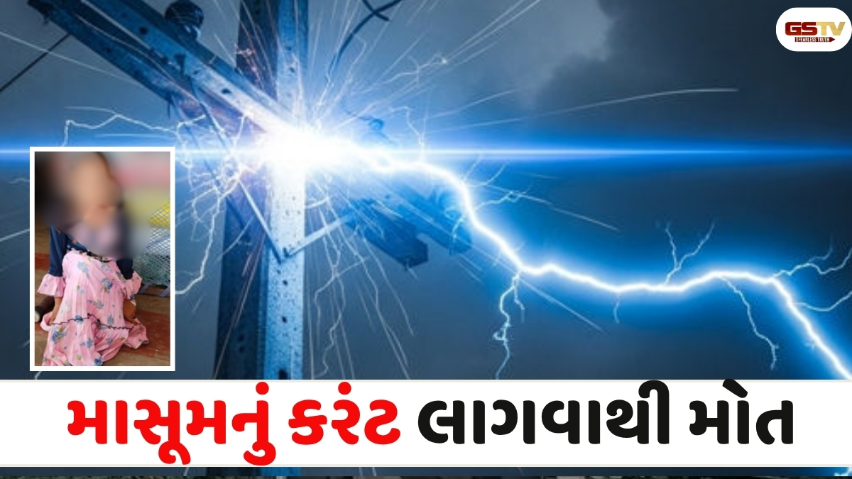 Anand news: આંકલાવના નાવખલ ગામે ચીકુની વાડીમાં કરંટ લાગતા 11 વર્ષની બાળકીનું મોત