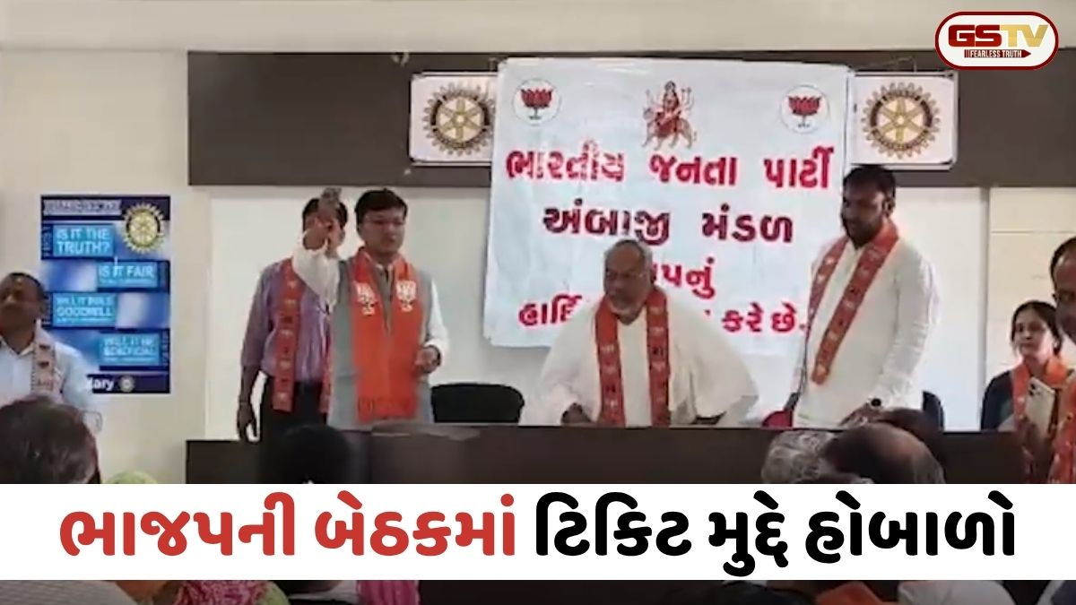 VIDEO: Banaskantha / ટિકિટ મુદ્દે ભાજપમાં હોબાળો, જિલ્લા કારોબારી સભ્યએ જાહેરમાં આપ્યું રાજીનામું