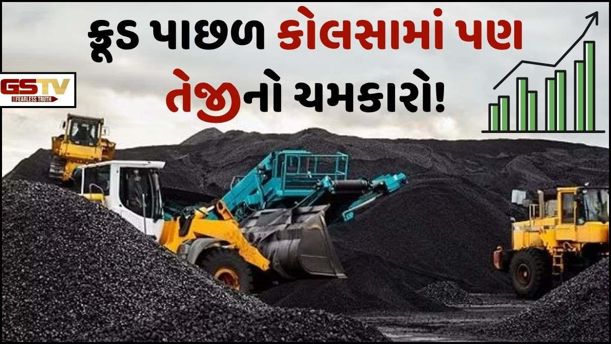 Business Plus: યુદ્ધને કારણે ન માત્ર ક્રૂડ પણ કોલસાના ભાવ પણ વધ્યા, આ વર્ષે 30થી 35%નો વધારો!