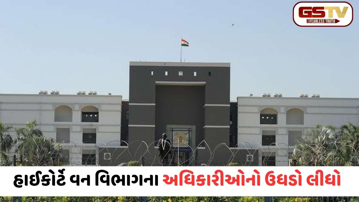 બનાસકાંઠા જમીન વિવાદ: ગુજરાત હાઈકોર્ટે વન વિભાગના અધિકારીઓનો ઉધડો લીધો, પૂછ્યું- 'કાયદો હાથમાં કેમ લીધો?'