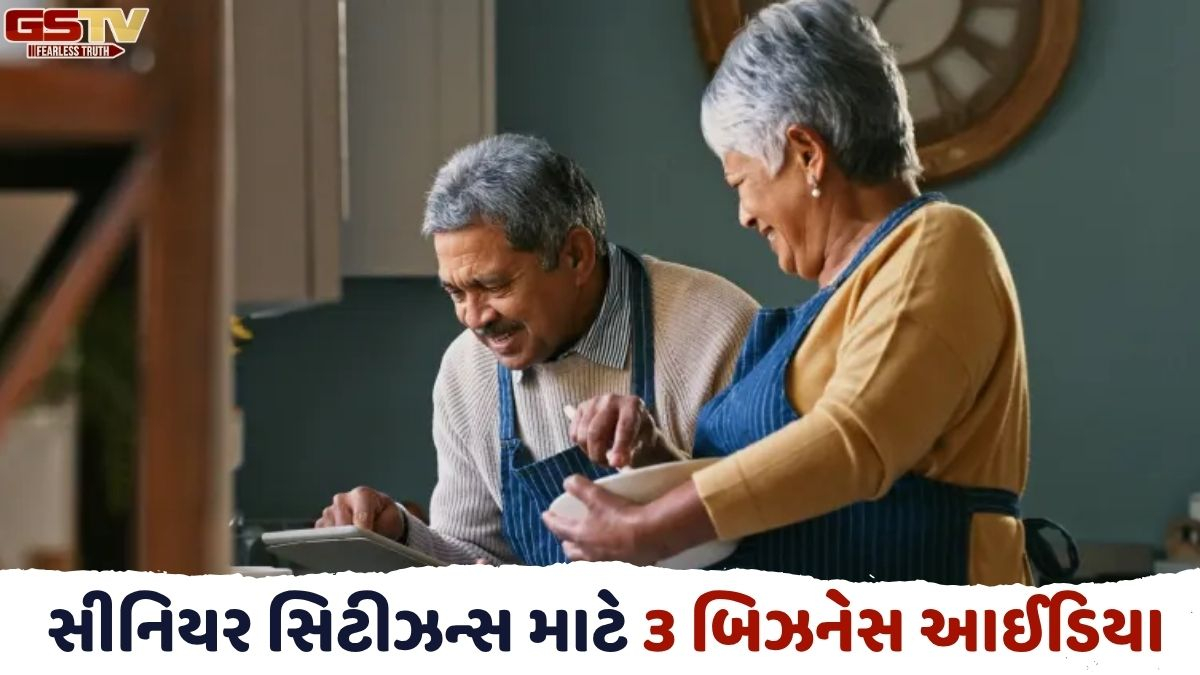 VIDEO: રીટાયરમેન્ટ બાદ પણ કરો કમાણી! સીનિયર સિટીઝન્સ માટે આ 3 business ideas છે બેસ્ટ