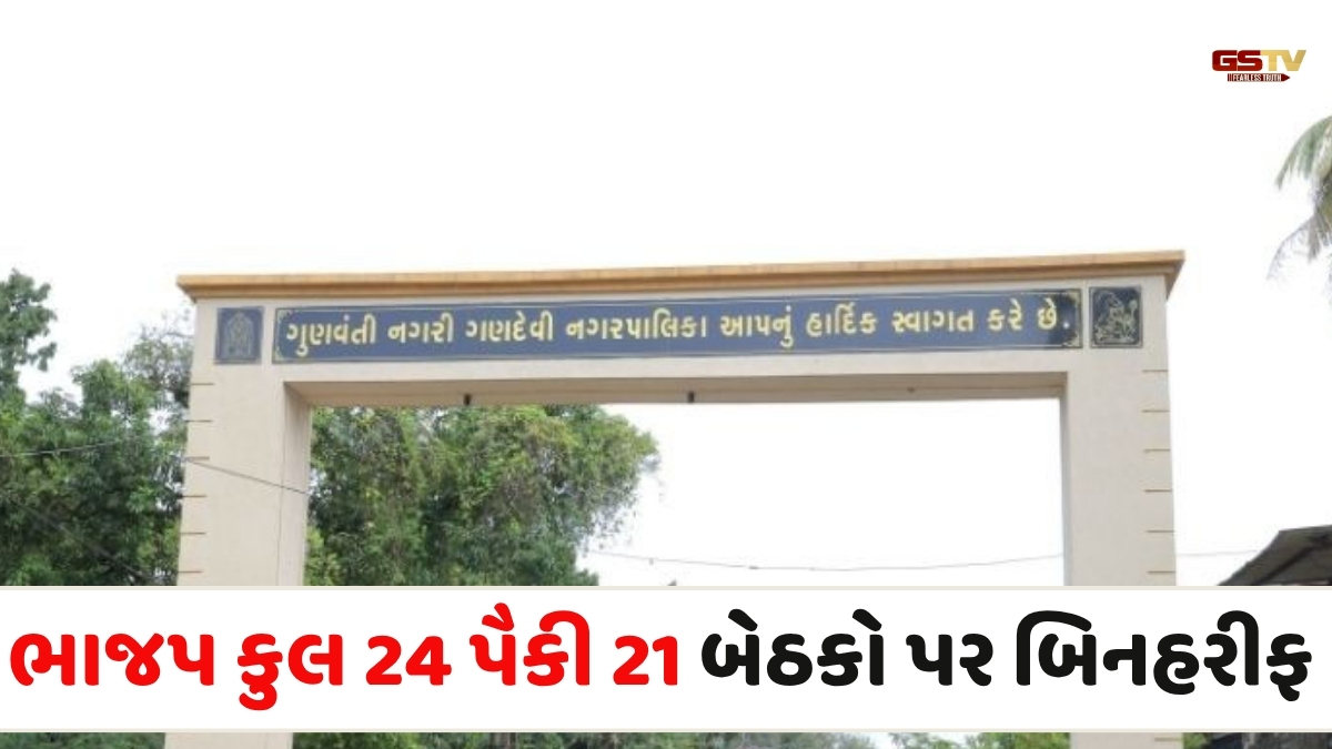 Navsari news: ગણદેવીમાં મેન્ડેટ ન મળતા કોંગ્રેસના 20 ફોર્મ રદ, ભાજપનું ક્લીન સ્વીપ