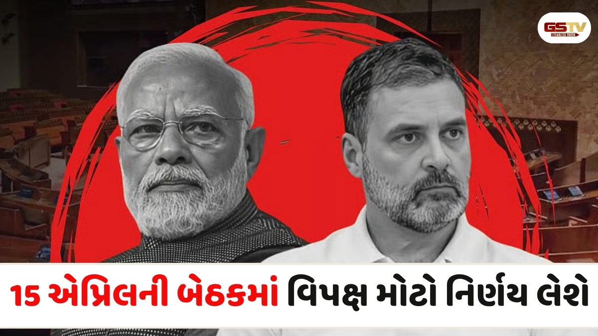 રાજ્યસભાના નવા ઉપસભાપતિ માટે ઉગ્ર ઘમાસાણ, શું સરકાર અને વિપક્ષ વચ્ચે સર્વસંમતિ થશે?