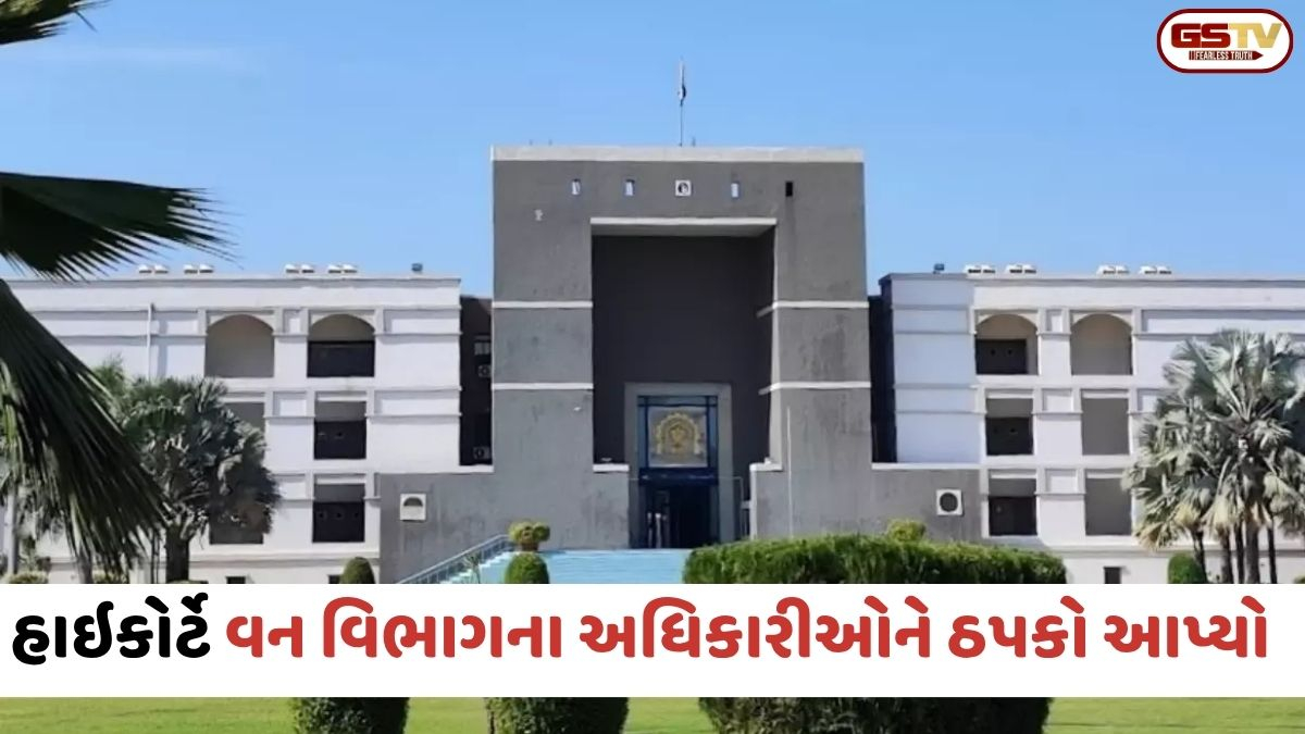 Ahmedabad: 'આ બોર્ડર નથી, તમારા જ નાગરિકો છે', જમીન વિવાદમાં હાઇકોર્ટે વન વિભાગના અધિકારીઓની ઝાટકણી કાઢી