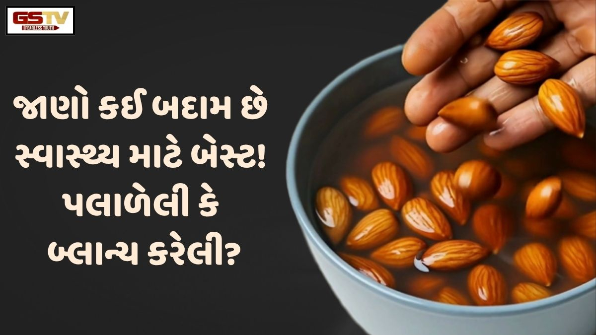 VIDEO: Health/ જાણો કઈ બદામ છે તમારા સ્વાસ્થ્ય માટે વધુ ફાયદાકારક! પલાળેલી કે બ્લાન્ચ કરેલી?