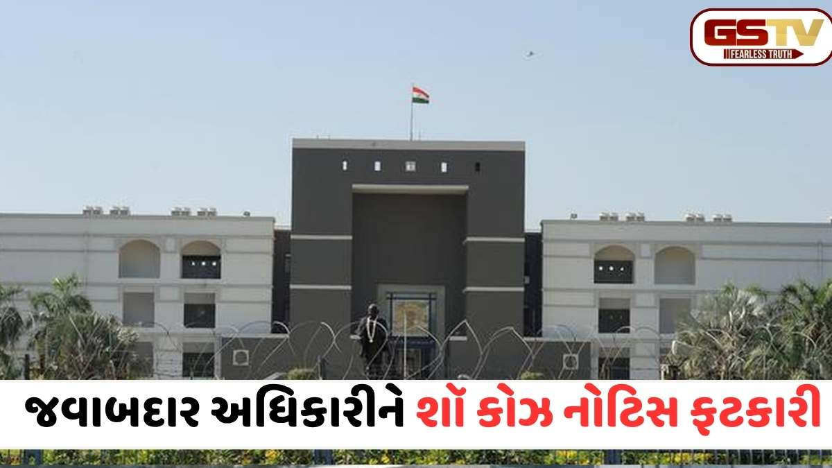 ખાનગી માલિકીની જમીન પર રોડ બનાવવાના મામલે ગુજરાત હાઈકોર્ટ લાલઘૂમ, સુરત પંચાયતને ફટકાર લગાવી