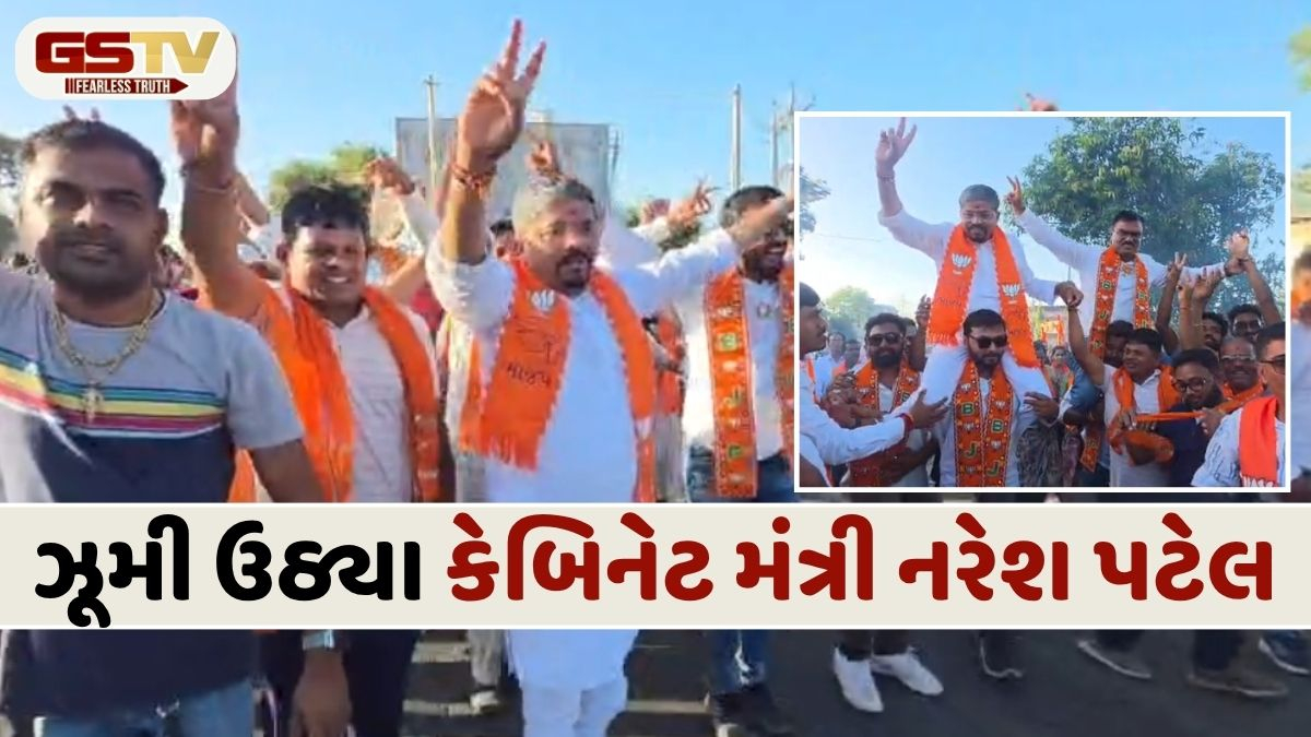 VIDEO: ભાજપના ગઢ નવસારીમાં BJPનું રાજ યથાવત, કાર્યકર્તાઓએ ફટાકડા ફોડી કરી ઉજવણી