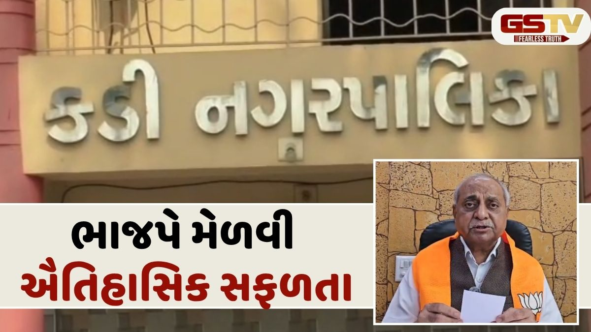 VIDEO: કડી નગરપાલિકામાં 28 બેઠકો પર ભાજપની બિનહરીફ જીત, નીતિન પટેલનો મોટો દાવો