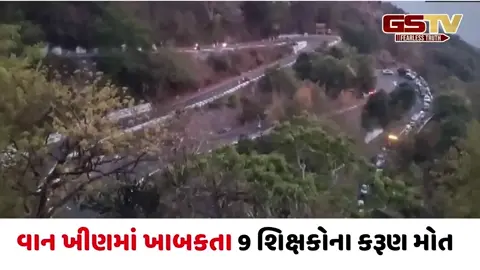 VIDEO/ શિક્ષકો માટે વેકેશન પ્રવાસ બન્યો જીવલેણ: તમિલનાડુમાં વાન ખીણમાં ખાબકતા 9 ના મોત 