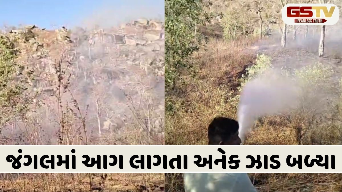 VIDEO: ગબ્બરની પહાડીઓના જંગલમાં લાગી આગ, ફાયર વિભાગ ટીમની સૂઝબુઝથી મોટી દુર્ઘટના ટળી