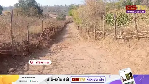 VIDEO: Narmada / વિકાસની વરવી વાસ્તવિકતા: આઝાદીના દાયકાઓ બાદ પણ અરેઠી ગામનું આંબા ફળિયું પાયાની સુવિધાઓથી વંચિત