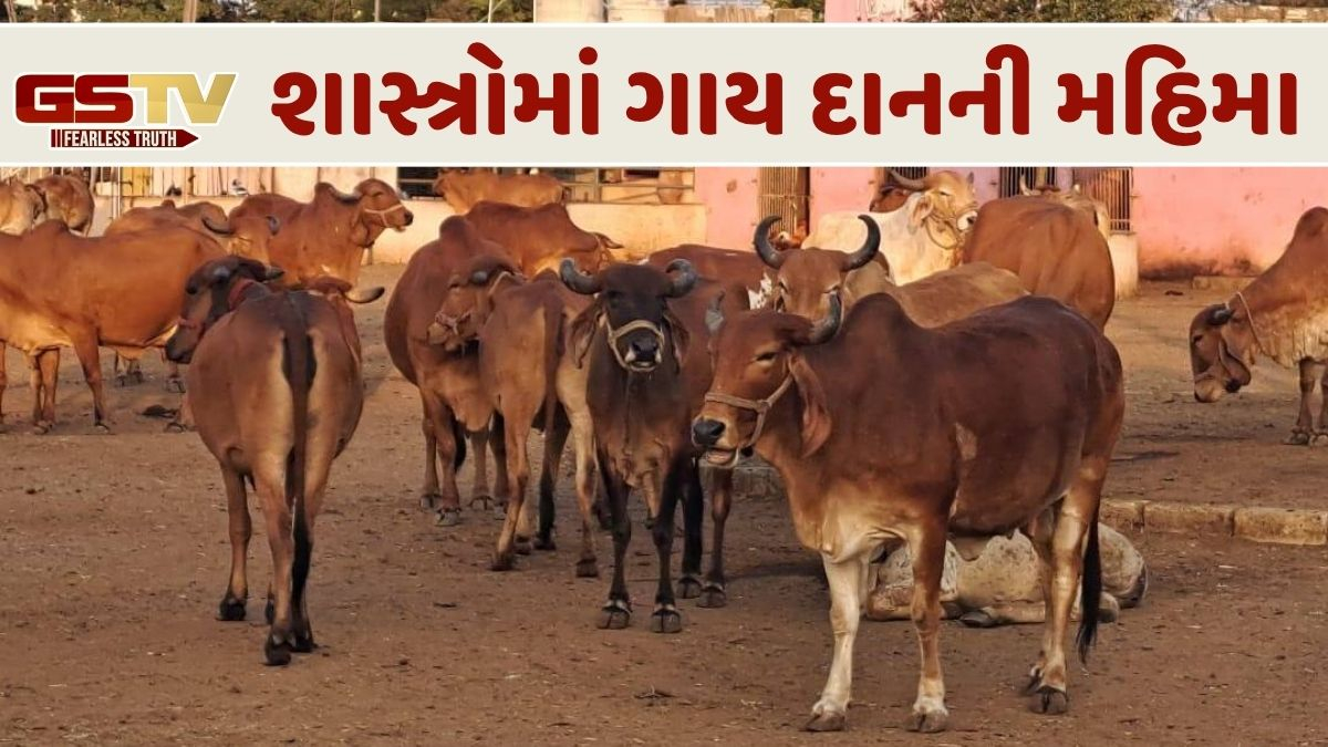 Religion: શું તમે યમલોકના ત્રાસથી બચવા માંગો છો? તો મોક્ષ પ્રાપ્ત કરવા માટે કરો આ ખાસ દાન