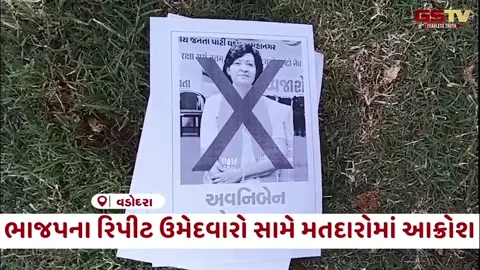 VIDEO Vadodara / ભાજપના રિપીટ ઉમેદવારો સામે મતદારોમાં આક્રોશ, પેમ્ફલેટ્સ ફેંકી વ્યક્ત કરી નારાજગી