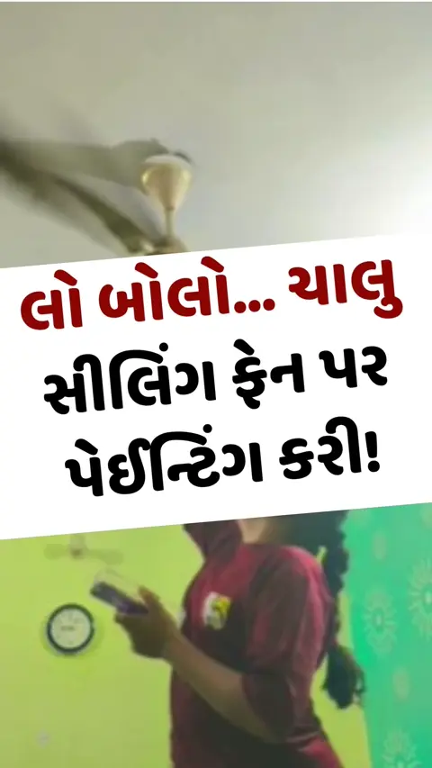 VIRAL VIDEO: લો બોલો... ચાલુ સીલિંગ ફેન પર પેઈન્ટિંગ કરી! વીડિયો સોશિયલ મીડિયા પર થયો વાયરલ