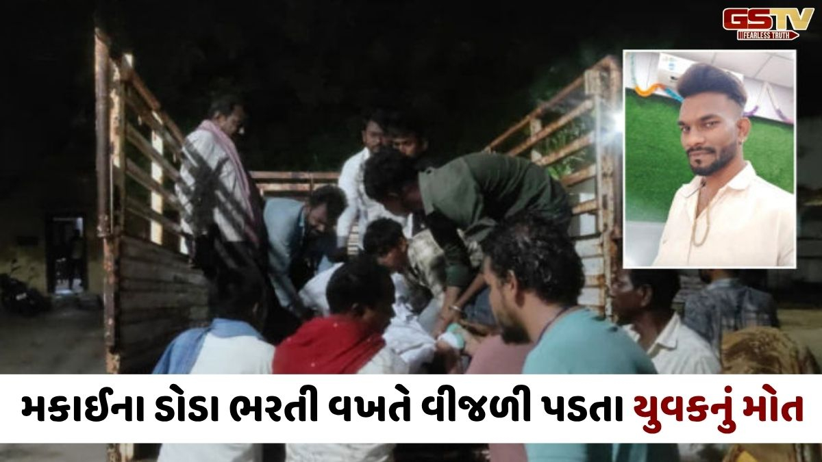 Chhota Udaipur news: ખેતરમાં કામ કરતી વખતે વીજળી પડતા યુવકનું મોત, બે વ્યક્તિનો આબાદ બચાવ