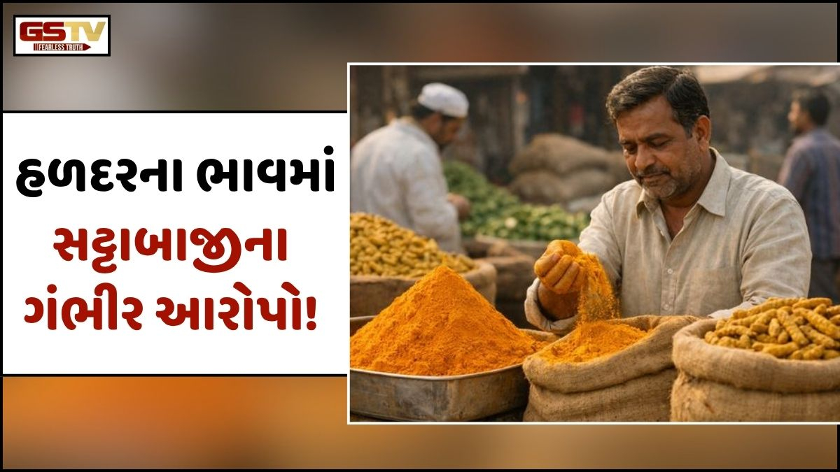 Business Plus: હળદરમાં તેજી પાછળ સટ્ટાખોરીના આક્ષેપ સાથે વેપારીઓની સેબી પાસે તપાસની ઉદ્દભવેલી માંગ!