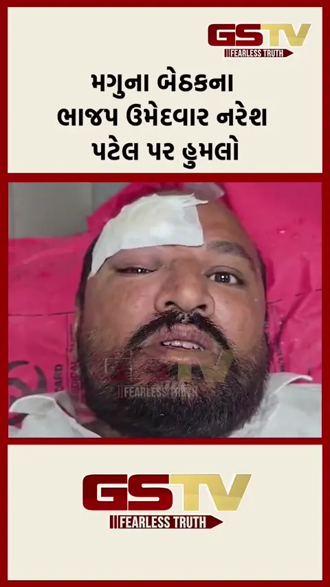 VIDEO: મગુના બેઠકના ભાજપ ઉમેદવાર નરેશ પટેલ પર હુમલો