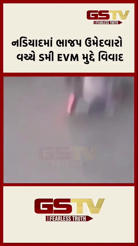 VIDEO : નડિયાદમાં ડમી EVM મુદ્દે ભાજપના ઉમેદવારો વચ્ચે વિવાદ