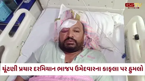 VIDEO: Mehsana / સ્થાનિક સ્વરાજની ચૂંટણીના પ્રચાર દરમિયાન ભાજપ ઉમેદવારના કાફલા પર હુમલો, કાર્યકરનું માથું ફૂટ્યું