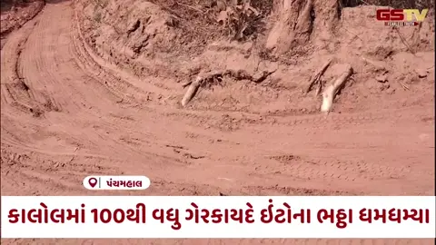 VIDEO: Panchmahal / માટીચોરીનું મસમોટું કૌભાંડ, 100 એકર જમીનમાં આડેધડ ખોદકામ, તંત્રએ માત્ર 'નોટિસ' આપી સંતોષ માન્યો