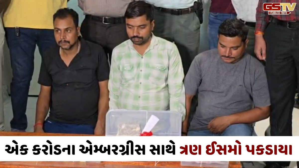 Suratમાં એક કરોડની કિંમતનું એમ્બરગ્રીસ જપ્ત, પોલીસે ત્રણ શખ્સોની કરી ધરપકડ