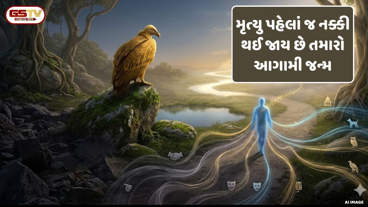 Religion: મૃત્યુ પહેલાં જ નક્કી થઈ જાય છે તમારો આગામી જન્મ; જાણો કેવા કર્મોથી કયો અવતાર મળે છે
