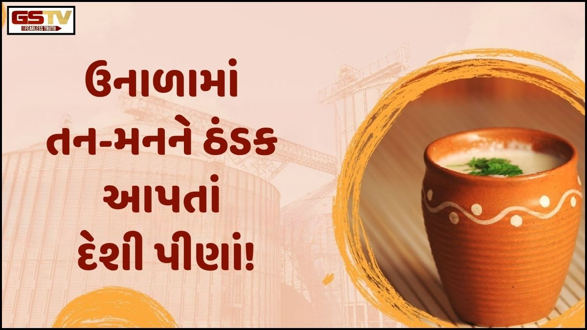 Sahiyar: ગરમીમાં તનને  ઠંડક અને મનને રાહત આપે તેવા આ દેશી પીણાંનો રાખો આગ્રહ!