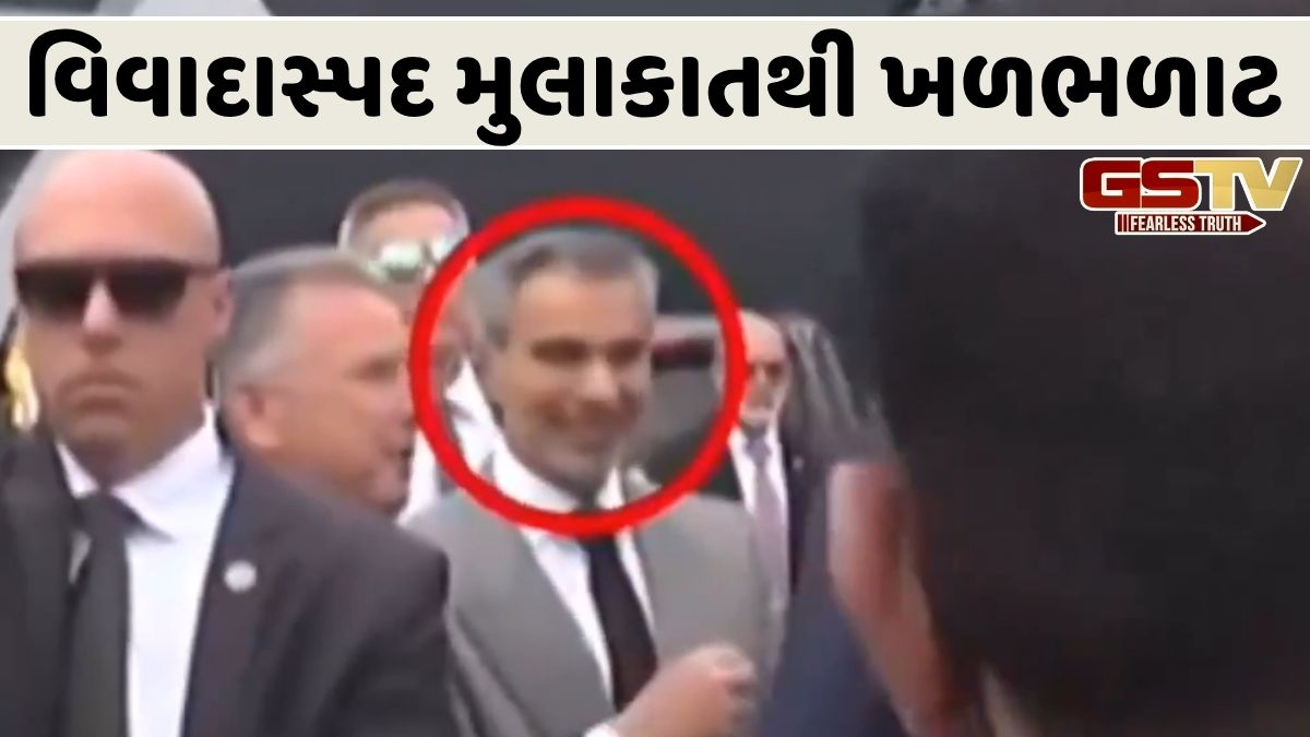 પાકિસ્તાનની દાનત ખરાબ: અમેરિકાના ઉપરાષ્ટ્રપ્રમુખ પાક. પહોંચતા જ વિવાદમાં ફસાયા, ઈસ્લામાબાદમાં મળ્યા વોન્ટેડ ગુનેગારને