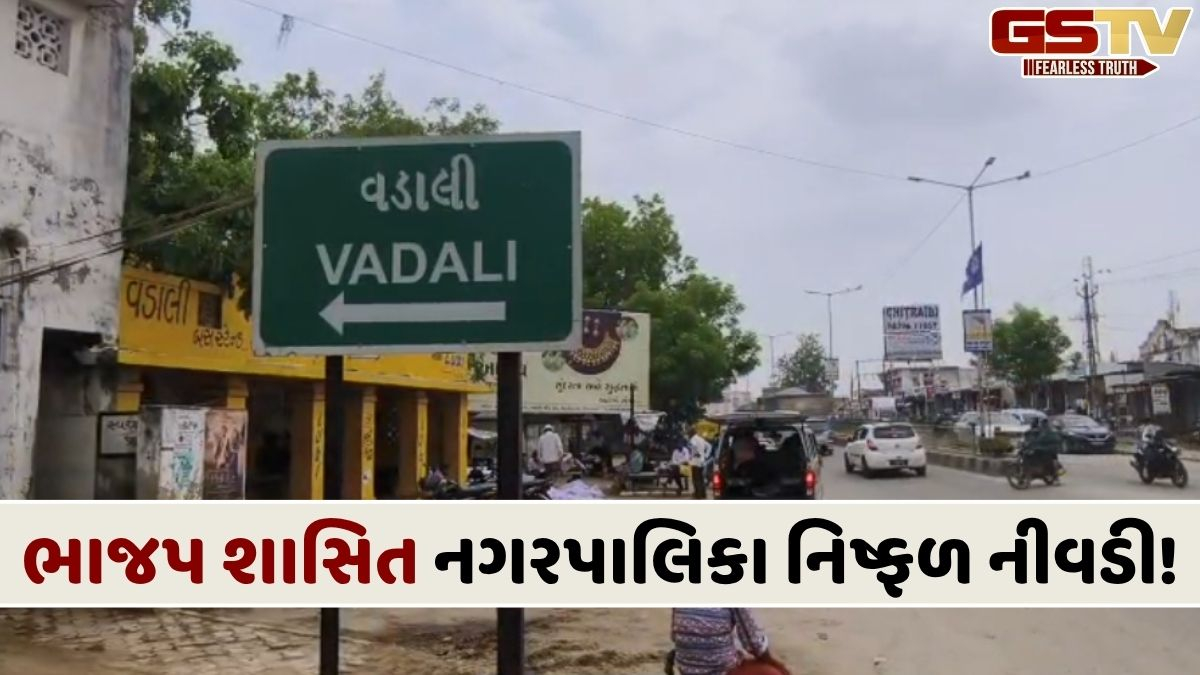 VIDEO: 