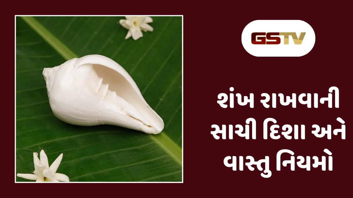 Vastu Tips : ઘરમાં શંખ કઈ દિશામાં રાખવો? જાણો વાસ્તુશાસ્ત્રના આ જરૂરી નિયમો