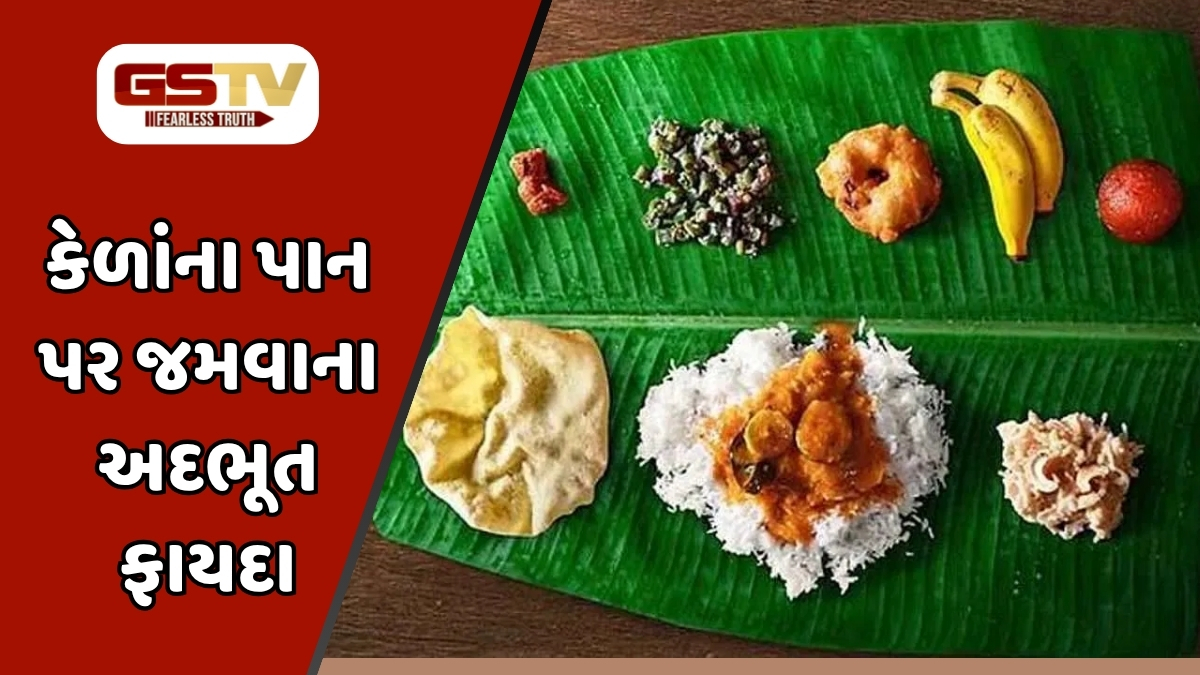 Sahiyar : કેળાંના પાનનાં ઔષધીય ગુણો: બીમારીઓનો કુદરતી ઈલાજ
