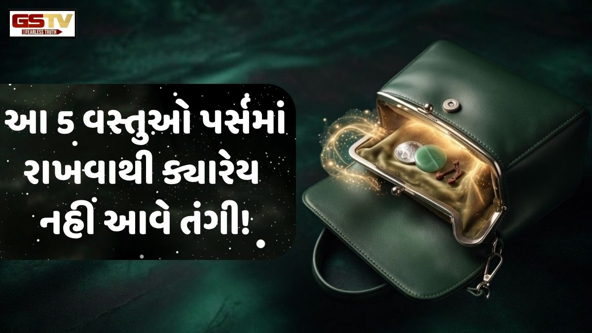 Vastu Tips: શું તમારી પાસે પૈસા ટકતા નથી? તો પર્સમાં રાખી લો આ 5 વસ્તુઓ, ક્યારેય નહીં આવે તંગી!