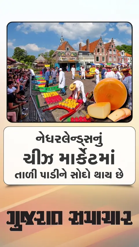 નેધરલેન્ડ્સનું 660 વર્ષ જૂનું ચીઝ માર્કેટ જ્યાં તાળી પાડીને સોદો થાય છે