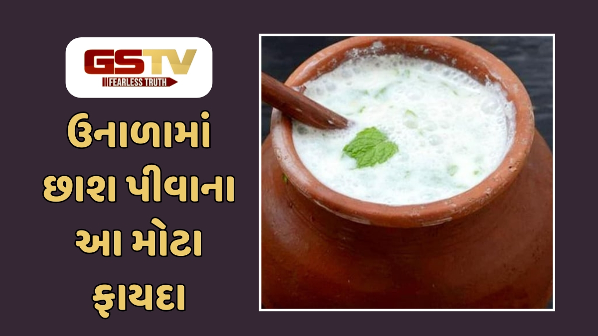 Health Tips : ગરમીમાં અમૃત સમાન છે છાશ: દરરોજ એક ગ્લાસ પીવાથી આ બીમારીઓ રહેશે દૂર