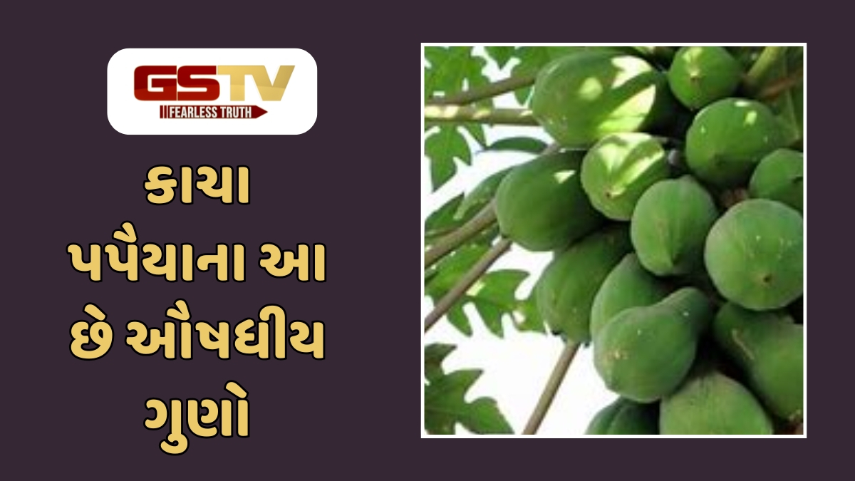Health Tips : કાચું પપૈયું સ્વાસ્થ્ય માટે વરદાન, પણ ખાતા પહેલા આટલું જાણો