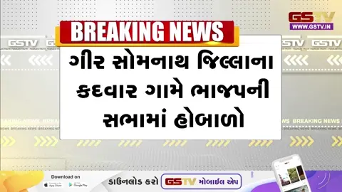 VIDEO: Gir Somnath / કદવારમાં સ્થાનિકોએ વિકાસ અંગે પૂછ્યા પ્રશ્નો, સાંસદ રાજેશ ચુડાસમાએ 'ભારત માતાની જય'ના નારા લગાવી વાત ટાળી