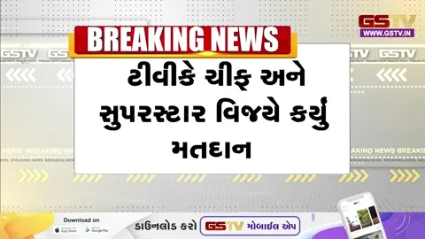 VIDEO/ Tamil Nadu Assembly Elections:TVK ચીફ વિજયે ચેન્નાઈમાં કર્યું મતદાન, બે બેઠકો પરથી નસીબ અજમાવશે