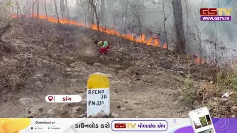 VIDEO: ડાંગના સાકારપાતાળ રેન્જના જંગલ લાગી આગ, વનરાજીને થયું મોટું નુકસાન